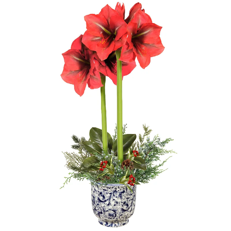 Holiday Amaryllis Arrangement 26"