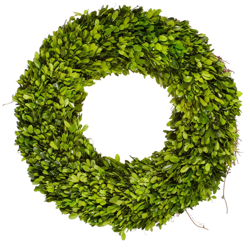 Preserved Boxwood Wreath 20"