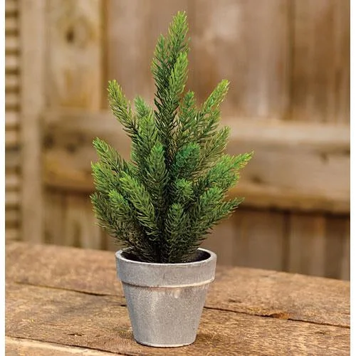 Tahoe Pine Tree w Gray Pot 12