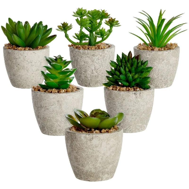 6-Pack Artificial Succulent Plant Pots Faux Mini Cactus