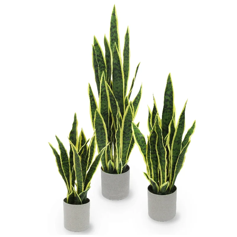 Artificial Sansevieria Snake Plant in Grey Pot