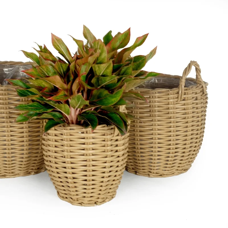 DTY Signature 3-Pack Wicker Multi-purposes Basket with handle - Planter basket